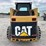 caterpillar-246-image-4