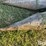 john-deere-843-image-10