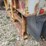 2008-great-dane-28'-x-102"-image-20