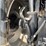 2018-case-ih-magnum-250-image-15