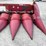 case-ih-2208-image-20