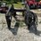 westendorf-ta26-image-6