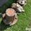 new-holland-617-image-19