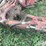 international-1000-image-9