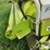 claas-pu380hd-image-11