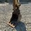 2014-caterpillar-304e-cr-image-9
