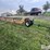 industrias-america-836r-image-4