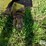 john-deere-2rw-image-10