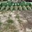 john-deere-843-image-2