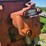 westfield-mk100-71-auger-image-17