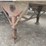 1998-great-dane-28'-x-102"-image-11