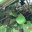 john-deere-9560-sts-image-74