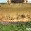 international-td20-image-18