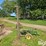 john-deere-37-image-3