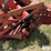 massey-ferguson-9024-image-9