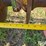 john-deere-aw-image-17