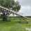 peck-1002-image-5