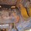 2019-caterpillar-d6n-lgp-image-22
