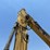 caterpillar-314c-image-9