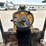 willmar-wrangler-4550-image-33