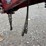 new-idea-7233-image-36