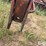 international-6500-image-9