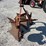 dearborn-10-1-image-6