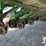 2009-john-deere-1770nt-image-41