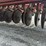 case-ih-5100-image-9
