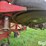 case-ih-800-image-10