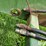 john-deere-7000-image-12
