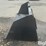 2025-kit-containers-qt-snb-84-84"-skid-steer-snow/litter-bucket-image-8