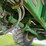 2020-john-deere-f4365-image-19