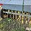 john-deere-b-image-16