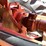 1982-massey-ferguson-4840-image-14