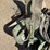 lankota-combine-head-mount-stalk-stompers-image-9
