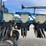 kinze-2600-image-12