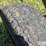 new-holland-30-image-20