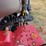 case-ih-farmall-35a-image-20