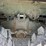 am-general-m923-image-19