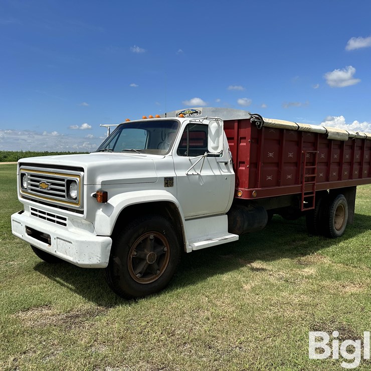 1974 CHEVROLET C65