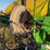 2013-john-deere-dr24-image-19