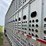2021-eby-livestock-trailer-image-31