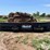 allis-chalmers-830-image-6