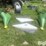 parts-for-platform-head-&-ear-savers-image-2