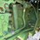 1983-john-deere-4850-image-16