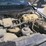 2020-ford-f350-image-5