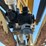 1998-raven-s-image-21