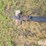 gooseneck-32-image-9