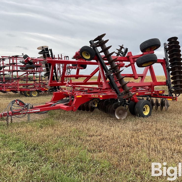 2013 SUNFLOWER 1435